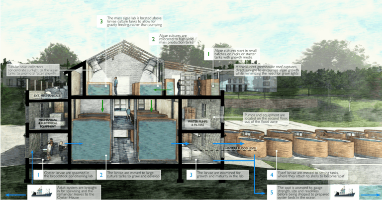 Why Are Architectural Sections Important to Projects? | Patriquin ...